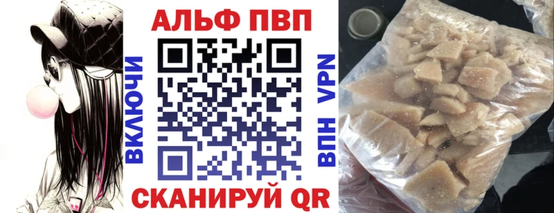 Альфа ПВП СК  Бологое 