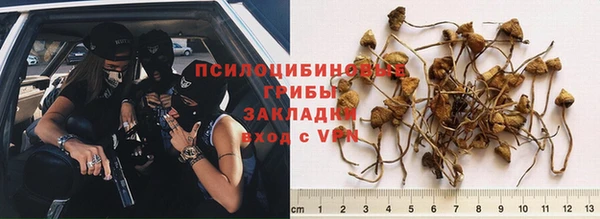 a pvp Сафоново